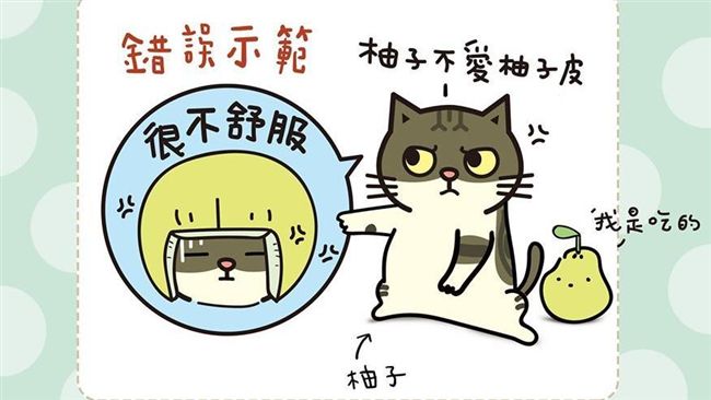 柚子皮戴貓頭上好可愛？小心引發過敏