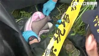 新北涵洞藏女屍？　原來是情趣娃娃！