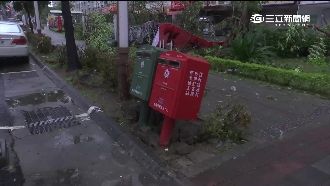 遭莫蘭蒂強襲　台南2郵筒驚恐下腰