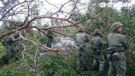 莫蘭蒂颱風過境金防部動起來災後復原　國防部提供