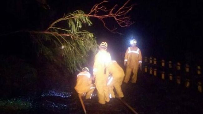 台鐵自強號撞土堆　恢復「慢速」通車