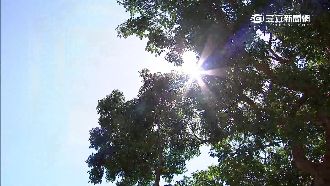 路徑似納坦！馬勒卡將挾七級風掃北台