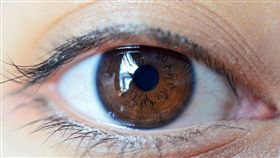 眼睛　（shutterstock／達志影像）