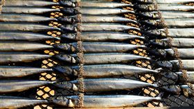 秋刀魚（圖／攝影者KonbuKei, Flickr CC License）
https://goo.gl/Cuouh3