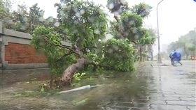 陳菊,停水,停電,莫蘭蒂,颱風