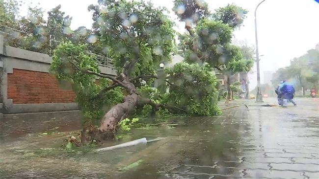 夜配聞／台灣「無颱聖地」在哪？
