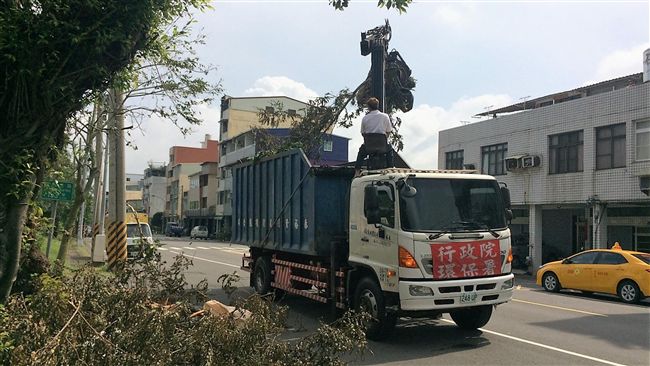 路樹被颱風吹起　竟外揭露施工缺失