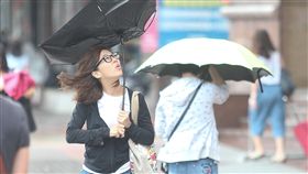颱風天,下雨,開花,雨傘 圖／中央社