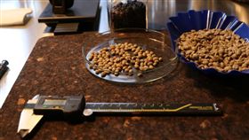 戒不掉的味道！到咖啡實驗室探索極品之秘