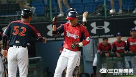  王柏融 威納斯障礙 開轟（林敬旻攝）