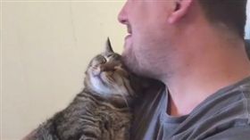 16:9
貓奴覺得受到重視！喵皇瘋狂撒嬌　不停磨蹭鬍渣好享受
圖／翻攝自sir_smittenkitten's IG
https://www.instagram.com/sir_smittenkitten/