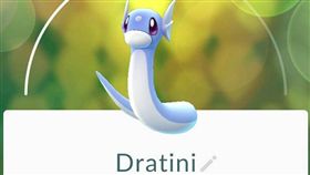 寶可夢迷你龍＿品汎　示意圖