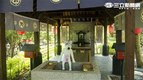 南投旅遊景點：糖狗村。（圖／記者簡佑庭攝影）