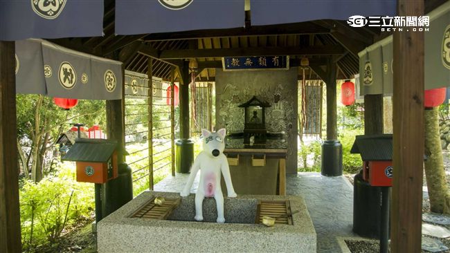 紀念愛犬　他以流浪狗為題打造糖狗村