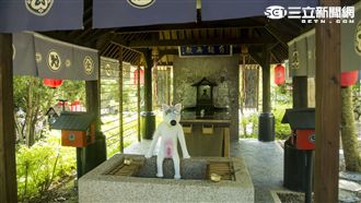 紀念愛犬　他以流浪狗為題打造糖狗村