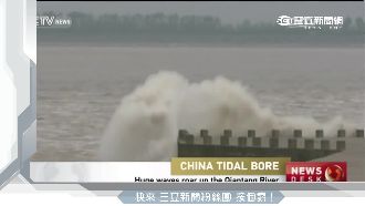 壯觀！錢塘江年度最大潮　浪高近2米