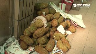 以為瓦斯外洩　破門才知元兇竟然是它