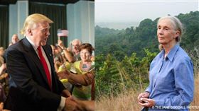 川普 珍古德
臉書