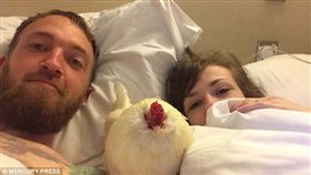 雞,https://www.thesun.co.uk/news/1783377/randy-chicken-that-had-sex-with-my-slipper-ruined-my-honeymoon-says-disgruntled-bride/
