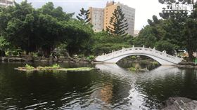 林婦前往中正紀念堂雲漢池散步竟不慎溺水身亡（楊忠翰攝）