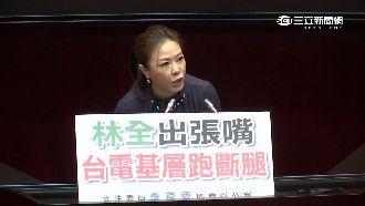 換發言人又嗆台電　林全挨轟近2小時