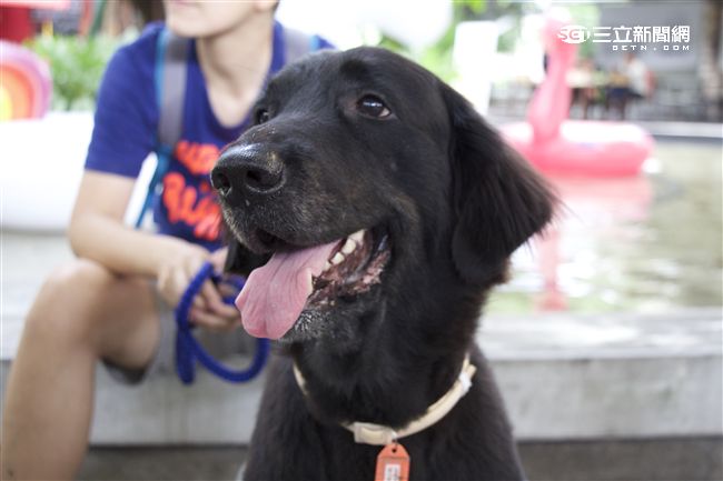 台灣首創「客製化」犬糧問市記者會（攝影／記者林顥宗）