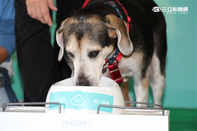 台灣首創「客製化」犬糧問市記者會（攝影／記者林顥宗）