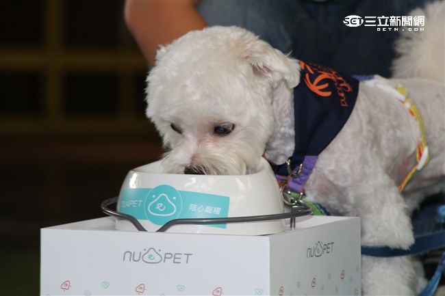 台灣首創「客製化」犬糧問市記者會（攝影／記者林顥宗）