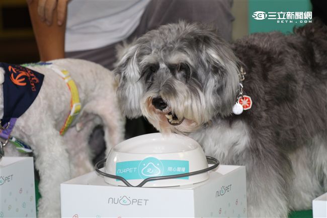 台灣首創「客製化」犬糧問市記者會（攝影／記者林顥宗）