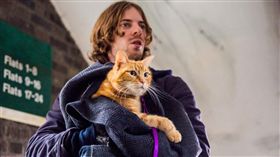 金馬影展　圖／金馬執委會提供