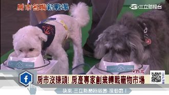 房市沒賺頭！房產專家創業轉寵物市場