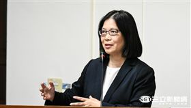 民進黨立委管碧玲 圖／記者林敬旻攝
