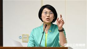 民進黨立委林岱樺　圖／記者林敬旻攝