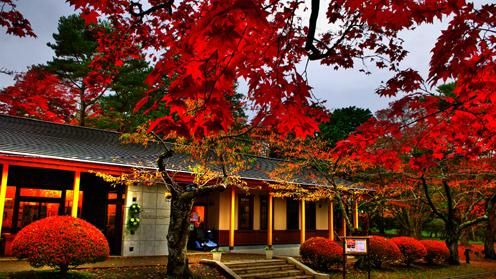 一起來追楓！嚴選北海道絕美賞楓名所
