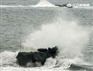 海軍陸戰隊幾乎勝任所有地形作戰的AAV7A1兩棲突擊車，可進行連續7個小時的兩棲水面航行操作， 是目前全世界性能最優異的兩棲戰鬥車輛。 。（記者邱榮吉/攝影）