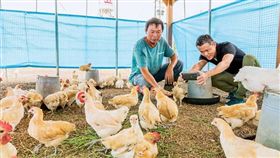 (名家)商業周刊
凱馨實業總經理鄧學凱（右）與十甲農場主人蔡一宏（左）攜手合作，以有機穀物並採低密度飼養桂丁雞。 （圖／孔繁毅攝影／商業周刊）