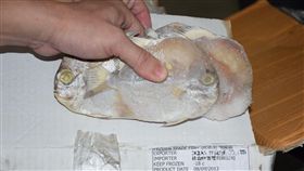 雄檢查獲逾期魚貨20公噸
高雄地檢署在高雄市仁武區一家公司及承租冷凍庫，查獲逾期、撕去效期標籤的銅盤魚等冷凍產品，總重達2萬477公斤，諭令負責人丁姓女子新台幣30萬元交保。（雄檢提供）
中央社記者陳朝福傳真 105年9月23日