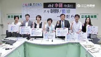 馬任內參加ICAO　綠批：政治妥協