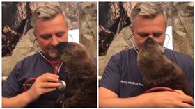 我不想要檢查啦！海獺寶寶賴皮躲檢查　用這招融化獸醫
圖／翻攝自Vancouver Aquarium臉書粉絲專頁