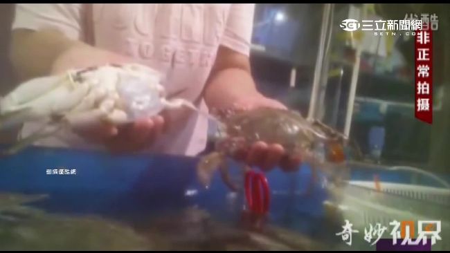 陸黑心店用手指操控　死蟹裝活蟹賣