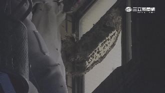民宅驚見虎頭蜂窩　50公分大如籃球