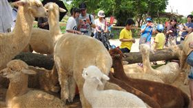 天馬牧場無預警歇業。（圖／翻攝自seven3019 flickr）
https://www.flickr.com/photos/seven3019/7453031014/in/photolist-boKxrm-cmANJ1-cmAPCJ-cmAHJC-cmAJYN-cmAPL5-cmAKwE-cmAGJL-boKyL5-cmALow-cmAFML-o5q3nr-cmAJhw-cmAKoU-cmAKRm-cmAGzE-cmAPSS-cmAGro-o5q2yx-cmAGbf-cmAJB5-cmAKZb-o5q8YW-cmAJsJ-cmAJKq-cmAHA9-cmAJ3G-cmALwm-omCiyR-cmALh1-cmAKH9-ooEyMc-cmAHSU-cmAGVJ-ojSNeL-cmAG3o-cmAK97-cmAKgE-cmAHrb-bBEsPD-ojSPNh-o5pVFm-o5q3xX-omGGZ3-omCiux-o5q1TK-boKxEq-omT7Cy-bBEsv6-fxjRKb