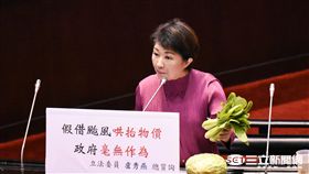 國民黨立法委員盧秀燕 圖／記者林敬旻攝