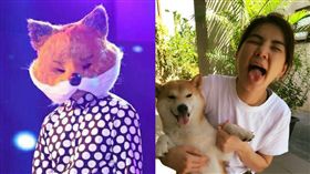 陳曉東,ella,蒙面歌王