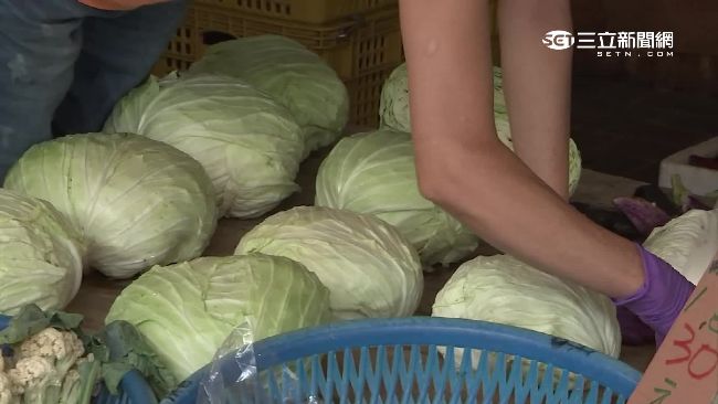 高麗菜價續跌　涮涮鍋少放就沒道理了