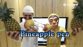 日洗腦神曲延燒台灣　演藝圈掀模仿潮