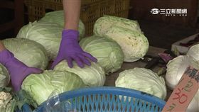-菜攤-菜價-菜市場-高麗菜-