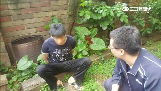 開槍傷宮廟委員　嫌躲摩鐵5天被逮