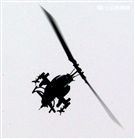 AH-1W超級眼鏡蛇攻擊直升機，座艙裝有抬頭顯示器，夜視鏡，外側攜帶4聯裝地獄火飛彈或拖式飛彈發射器，也能掛載響尾蛇短程空對空飛彈及小牛反裝甲飛彈，該型直升機可執行反裝甲、護航、多種火力支援、武裝突擊、搜索和目標識別等多種任務。（記者邱榮吉/攝影）