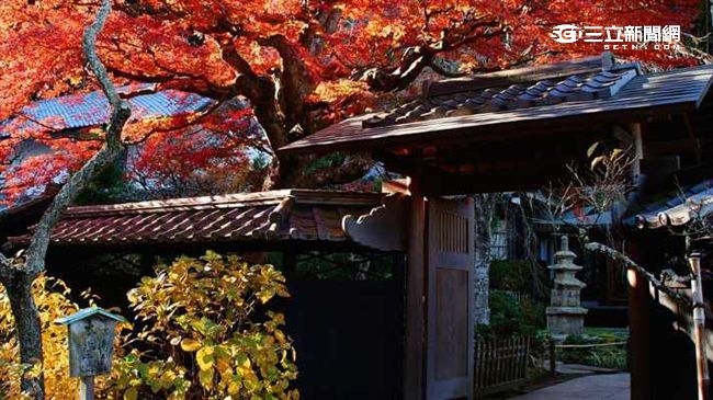 日本賞楓秘境　鎌倉8大絕美古寺